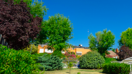 Residencia Albertia Mirasierra